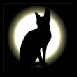 Аватар для Catwoman