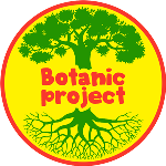 Аватар для Botanic Project