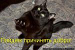 Аватар для Котиг