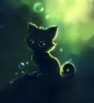Аватар для Kittykate
