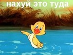 Аватар для happysun969