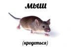 Аватар для mousesnitch